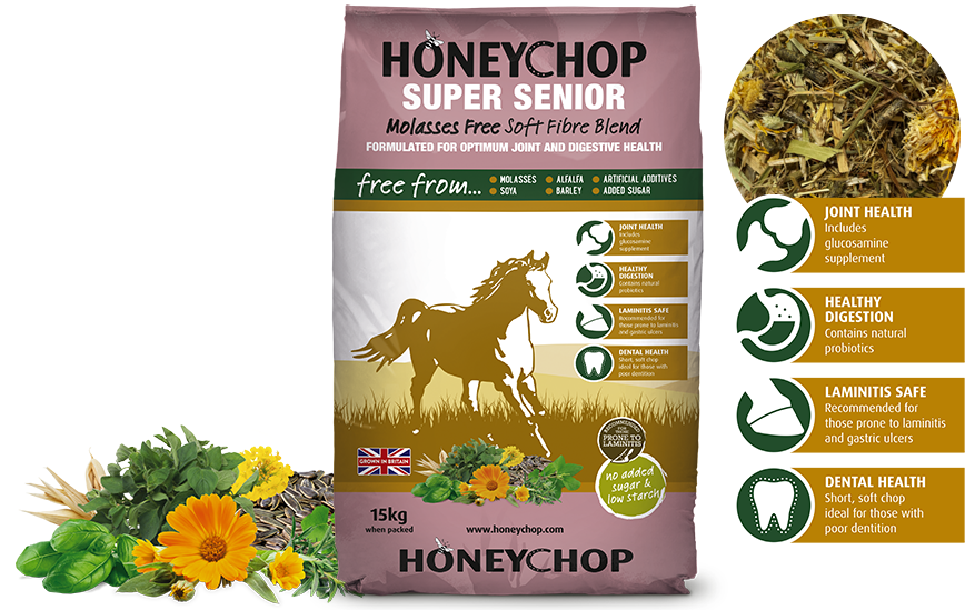 Honeychop Super Senior