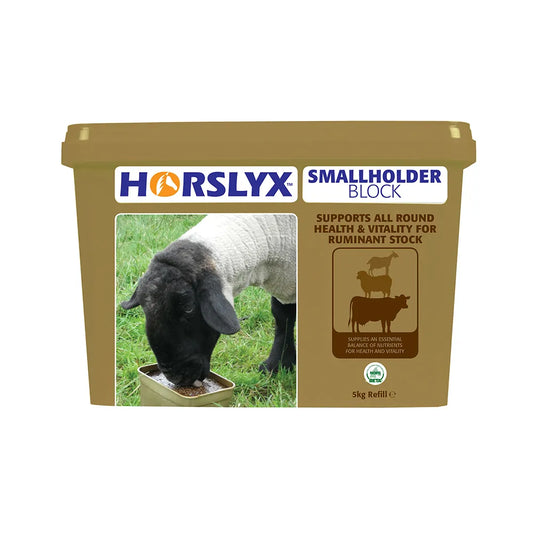 Horslyx Small Holder Block 5kg