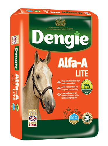 Dengie Alfa A lite 20kg