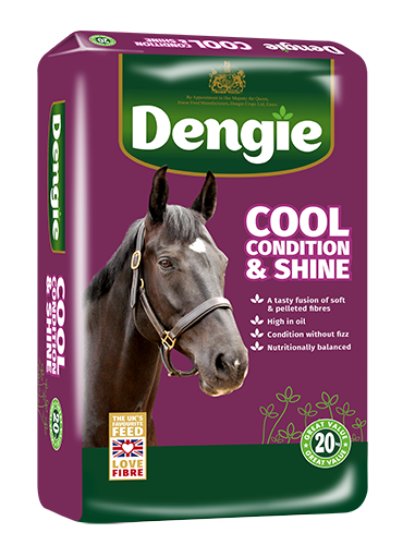 Dengie Cool Condition & Shine 20kg