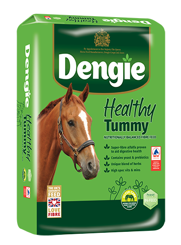 Dengie healthy tummy 20kg