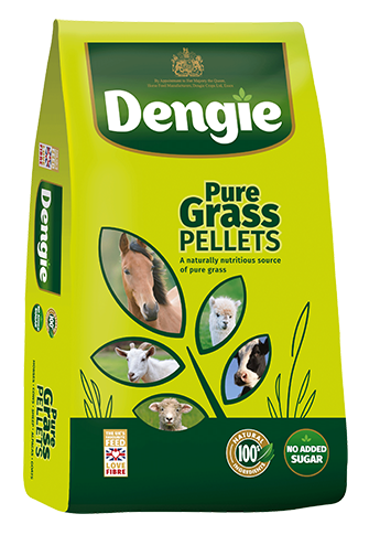 Dengie pure grass pellets 20kg