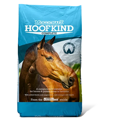 Mollichaff Hookind Complete