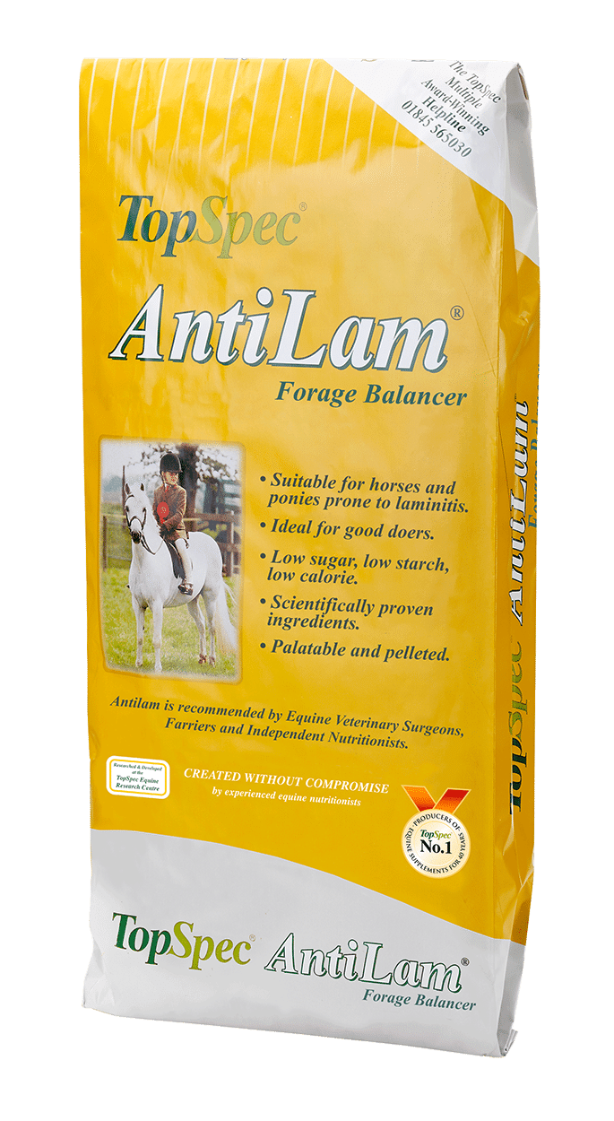 TopSpec Anti Lam Balancer 15kg