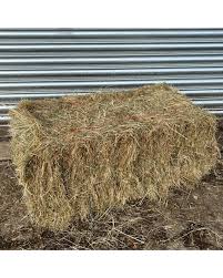 Conventional hay bales